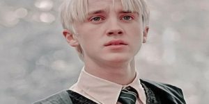 دراکو مالفوی