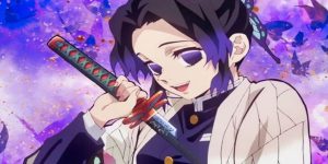 شینوبو کوچو