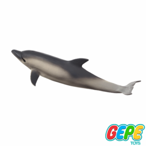 فیگور دلفین معمولی کوتاه نوک