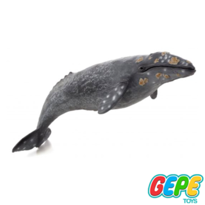 نهنگ خاکستری