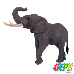 فیگور فیل آفریقایی