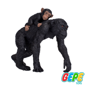 شامپانزه و بچه