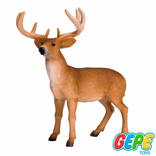 گوزن نر دم سفید